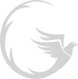 Nick Blackman Aviation Consultant